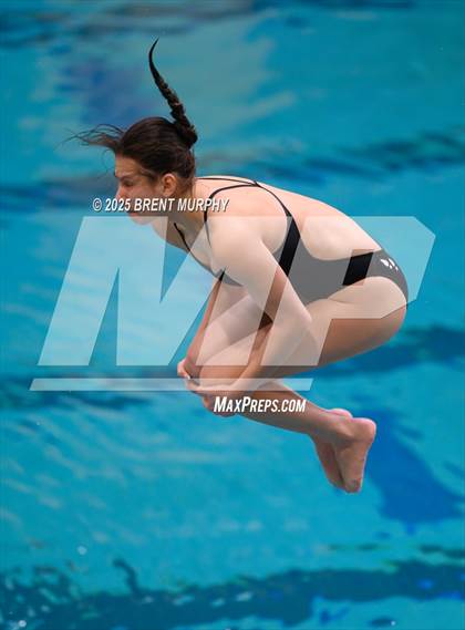 Thumbnail 1 in CHSAA 3A Diving Finals photogallery.