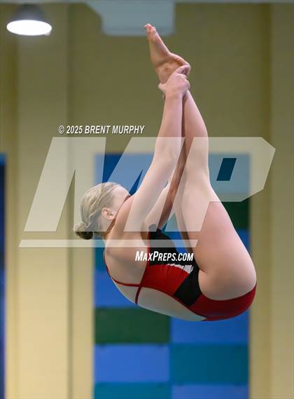 Thumbnail 3 in CHSAA 3A Diving Finals photogallery.