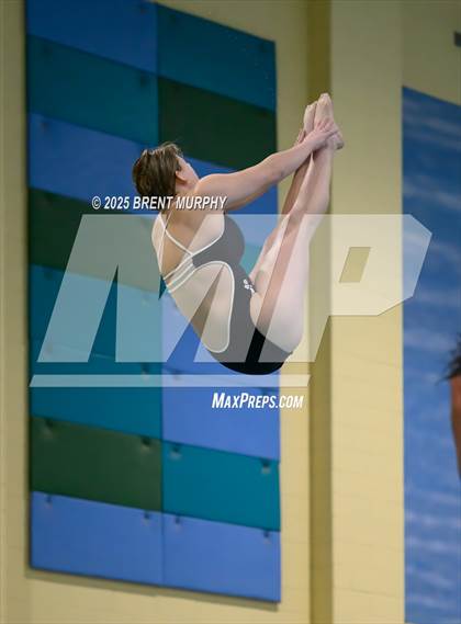Thumbnail 3 in CHSAA 3A Diving Finals photogallery.