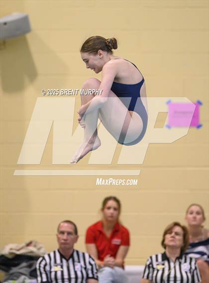 Thumbnail 1 in CHSAA 3A Diving Finals photogallery.