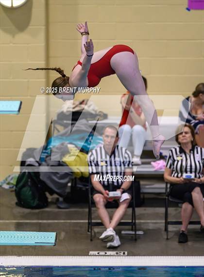Thumbnail 1 in CHSAA 3A Diving Finals photogallery.