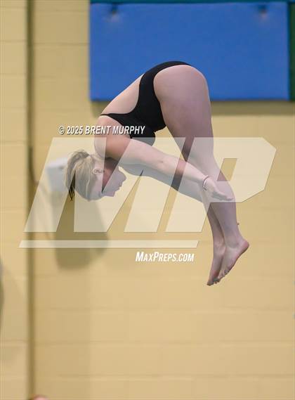 Thumbnail 1 in CHSAA 3A Diving Finals photogallery.