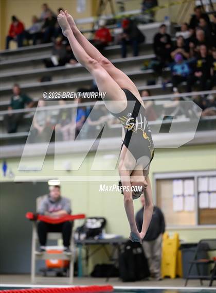 Thumbnail 3 in CHSAA 3A Diving Finals photogallery.