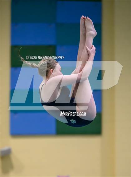 Thumbnail 3 in CHSAA 3A Diving Finals photogallery.