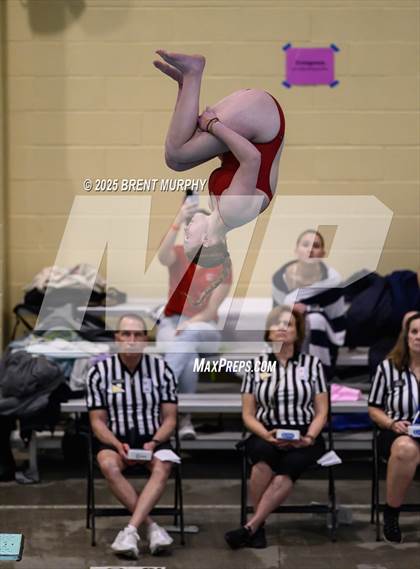 Thumbnail 3 in CHSAA 3A Diving Finals photogallery.