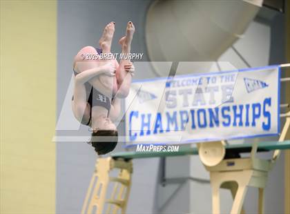 Thumbnail 1 in CHSAA 3A Diving Finals photogallery.