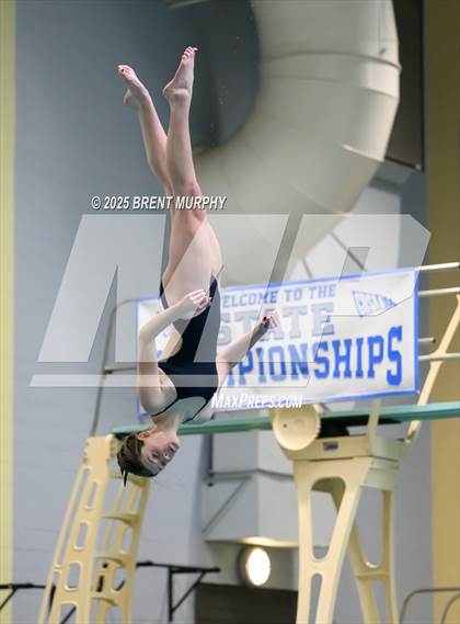 Thumbnail 3 in CHSAA 3A Diving Finals photogallery.