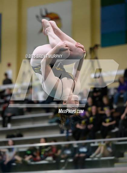 Thumbnail 3 in CHSAA 3A Diving Finals photogallery.