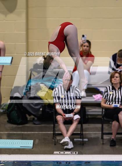 Thumbnail 2 in CHSAA 3A Diving Finals photogallery.
