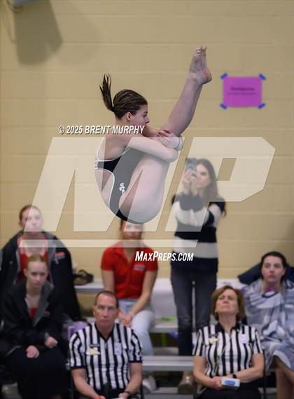 Thumbnail 2 in CHSAA 3A Diving Finals photogallery.