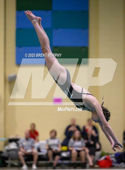 Thumbnail 1 in CHSAA 3A Diving Finals photogallery.
