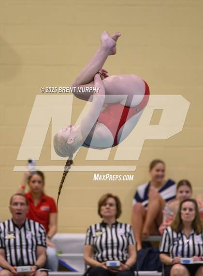 Thumbnail 2 in CHSAA 3A Diving Finals photogallery.