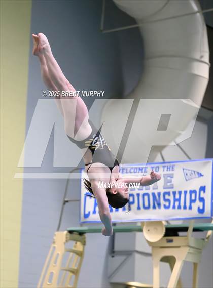 Thumbnail 1 in CHSAA 3A Diving Finals photogallery.