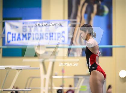 Thumbnail 1 in CHSAA 3A Diving Finals photogallery.