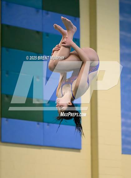 Thumbnail 2 in CHSAA 3A Diving Finals photogallery.