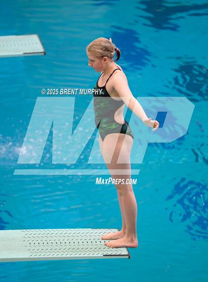 Thumbnail 1 in CHSAA 3A Diving Finals photogallery.