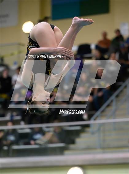 Thumbnail 1 in CHSAA 3A Diving Finals photogallery.