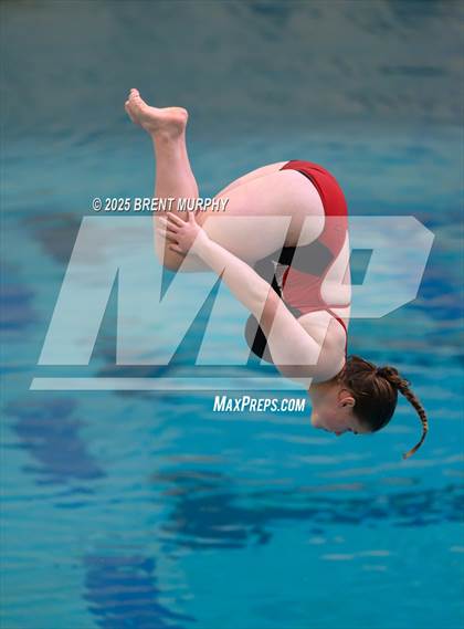 Thumbnail 3 in CHSAA 3A Diving Finals photogallery.