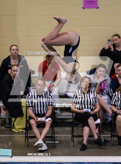 Thumbnail 1 in CHSAA 3A Diving Finals photogallery.