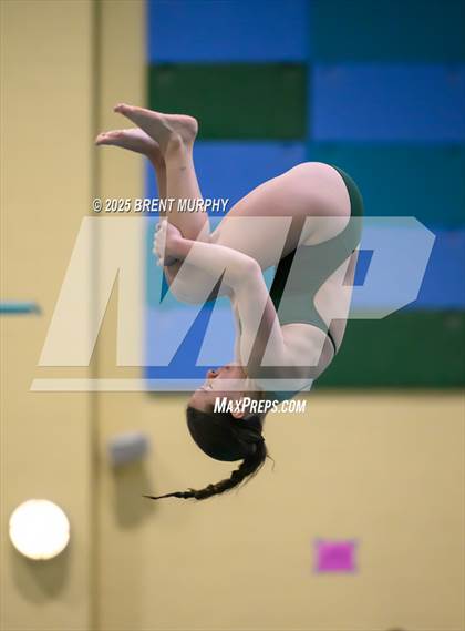 Thumbnail 1 in CHSAA 3A Diving Finals photogallery.