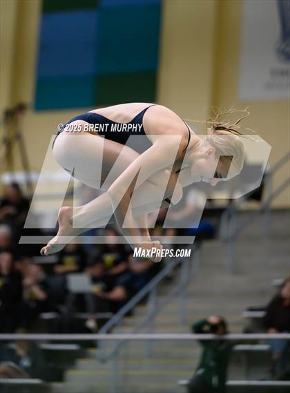 Thumbnail 1 in CHSAA 3A Diving Finals photogallery.