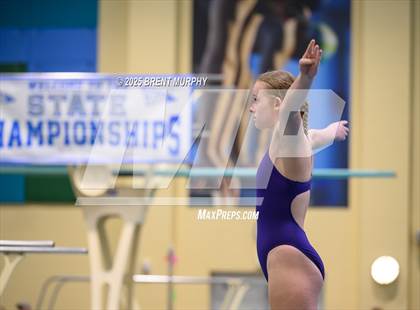 Thumbnail 2 in CHSAA 3A Diving Finals photogallery.