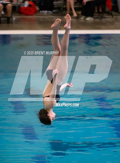 Thumbnail 3 in CHSAA 3A Diving Finals photogallery.