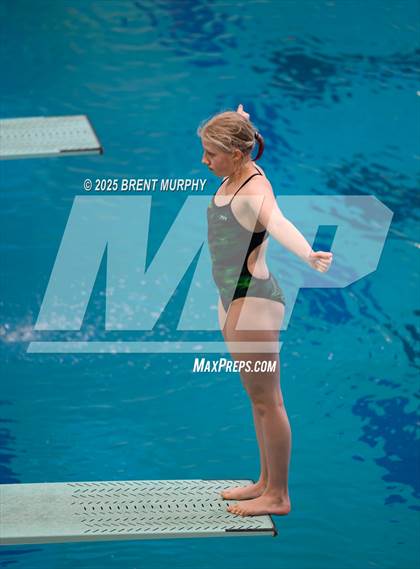 Thumbnail 1 in CHSAA 3A Diving Finals photogallery.