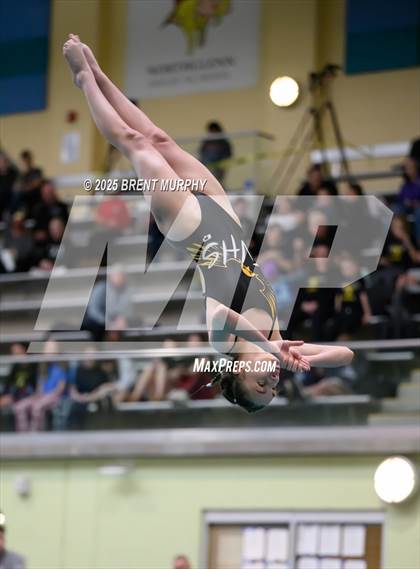 Thumbnail 2 in CHSAA 3A Diving Finals photogallery.