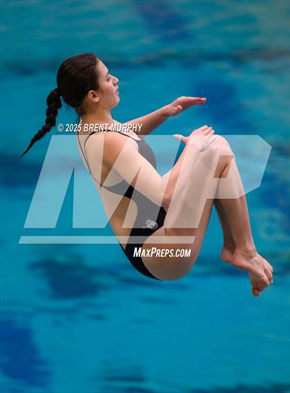 Thumbnail 3 in CHSAA 3A Diving Finals photogallery.