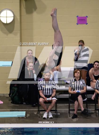 Thumbnail 1 in CHSAA 3A Diving Finals photogallery.