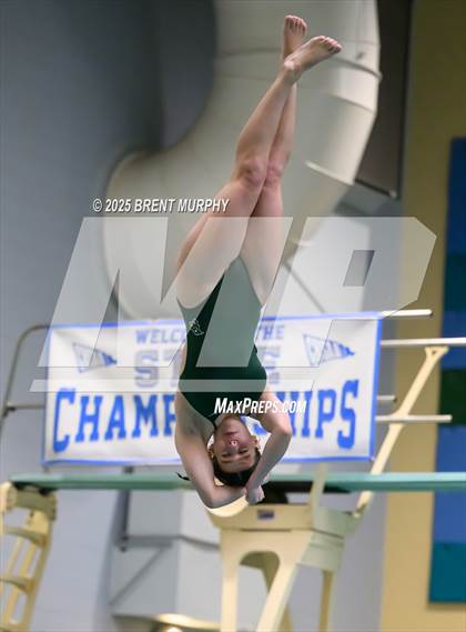 Thumbnail 3 in CHSAA 3A Diving Finals photogallery.