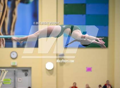 Thumbnail 1 in CHSAA 3A Diving Finals photogallery.