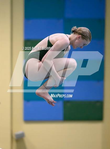 Thumbnail 1 in CHSAA 3A Diving Finals photogallery.