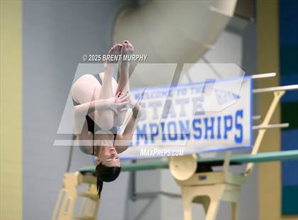 Thumbnail 3 in CHSAA 3A Diving Finals photogallery.
