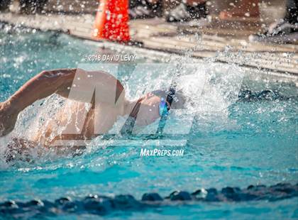 Thumbnail 1 in AIA D1 Swimming Finals photogallery.