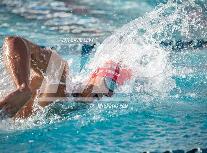 Thumbnail 3 in AIA D1 Swimming Finals photogallery.