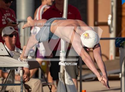 Thumbnail 3 in AIA D1 Swimming Finals photogallery.