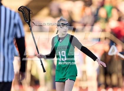 Thumbnail 2 in Harrison @ Lassiter photogallery.