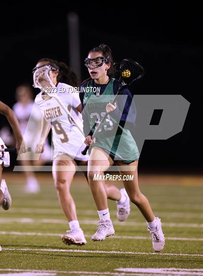 Thumbnail 2 in Harrison @ Lassiter photogallery.