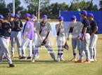Photo from the gallery "Lennard @ Sumner"