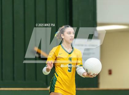 Thumbnail 3 in Lumberton @ Pine Forest photogallery.