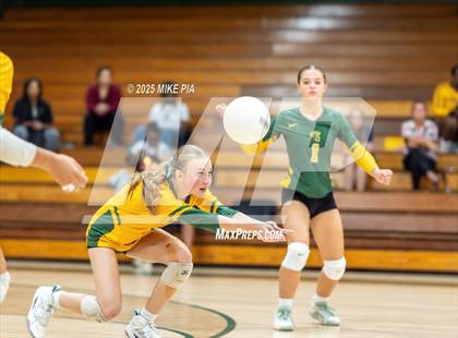 Thumbnail 1 in Lumberton @ Pine Forest photogallery.