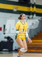 Photo from the gallery "Lumberton @ Pine Forest"