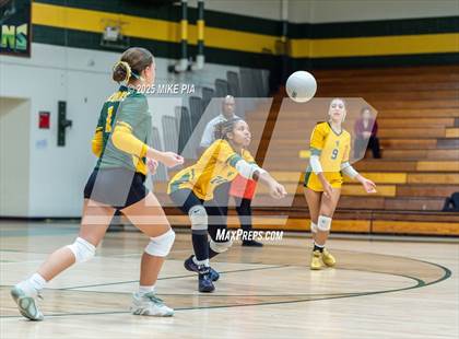 Thumbnail 1 in Lumberton @ Pine Forest photogallery.