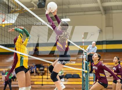 Thumbnail 3 in Lumberton @ Pine Forest photogallery.