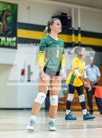 Photo from the gallery "Lumberton @ Pine Forest"