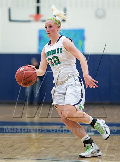 Thumbnail 3 in Woodgrove vs Loudoun County (VHSL Region II Final) photogallery.