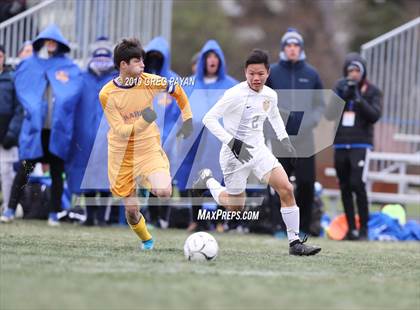 Thumbnail 1 in Lansing vs. Rhinebeck (NYSPHSAA Class C Final) photogallery.