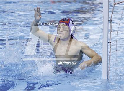 Thumbnail 3 in Warren vs. Stevens photogallery.
